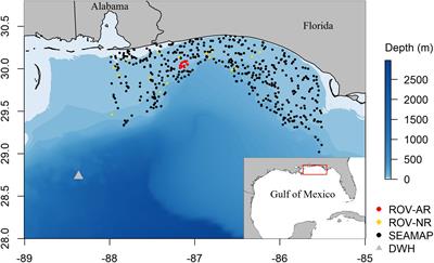 Relative Effects of Multiple Stressors on Reef Food Webs in the Northern Gulf of Mexico Revealed via Ecosystem Modeling